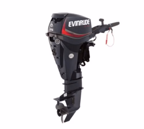 Evinrude E25GTEL E-TEC Outboard Motor