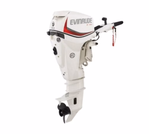 Evinrude E30DRGL E-TEC Outboard Motor