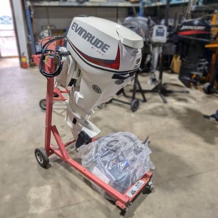 Evinrude E25DRSL Outboard Motor